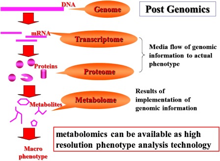 Fig. 1. Metabolomics in postgenomic era.