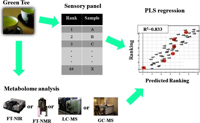 Fig. 5. Prediction of green tea quality by metabolic fingerprinting technique.