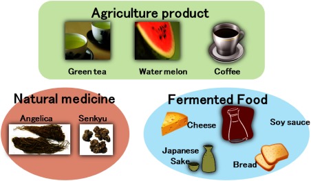 Fig. 6. Application of metabolomics to sensory evaluation of food and traditional herbal medicine.