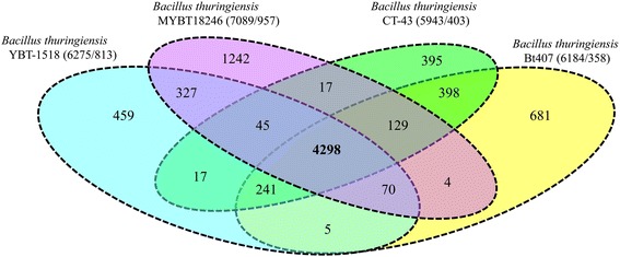 Fig. 4