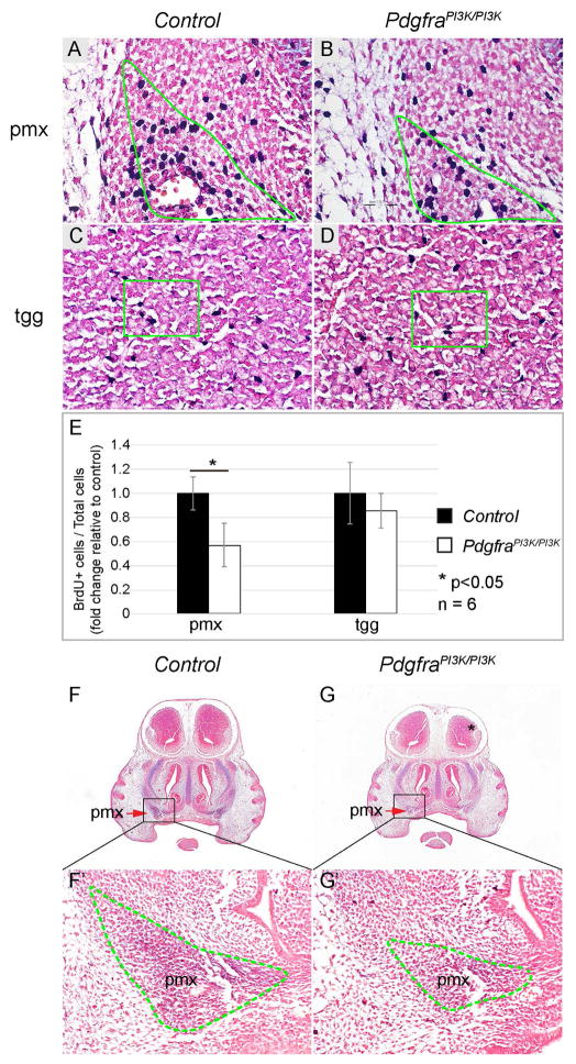 Fig 8