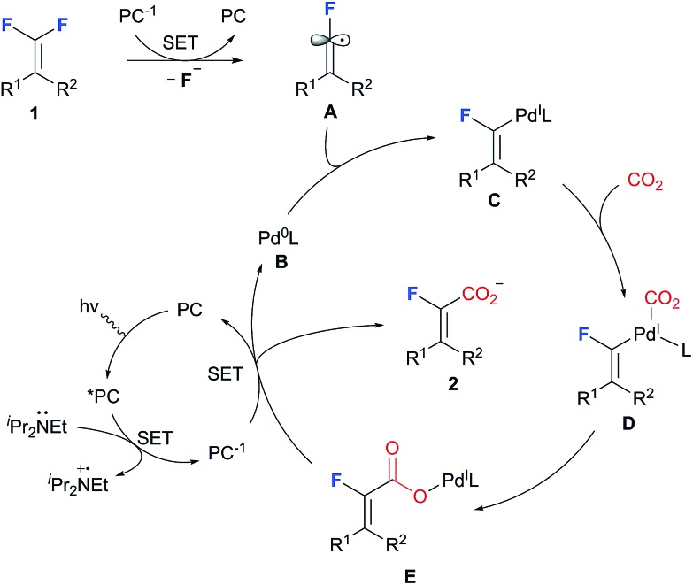 Scheme 5