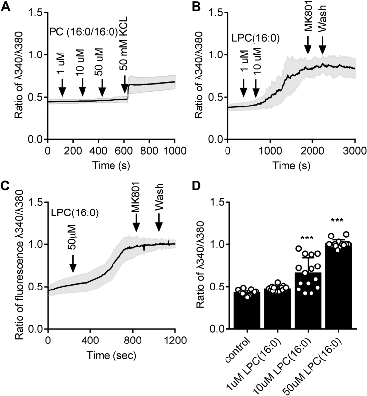 Figure 6