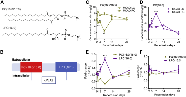 Figure 4