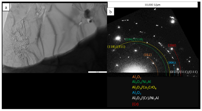 Figure 19