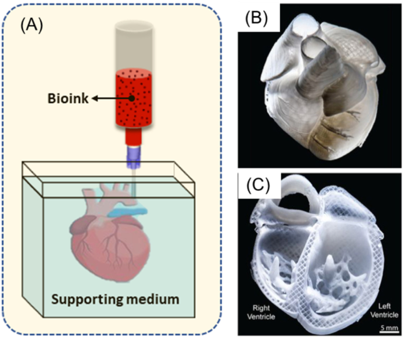 Fig. 13