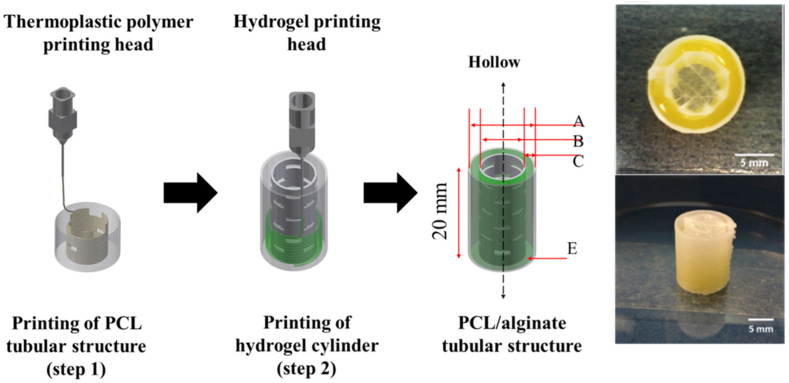 Fig. 11