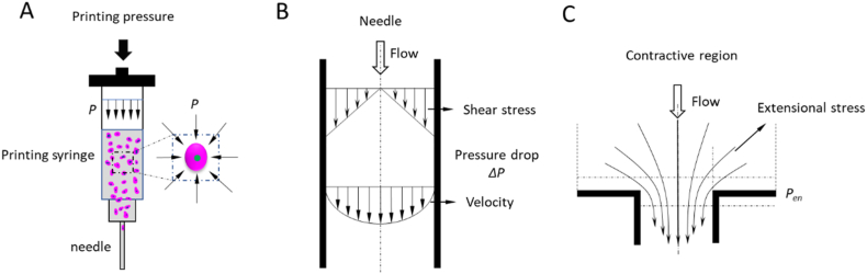 Fig. 9