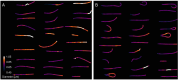 Author response image 9.