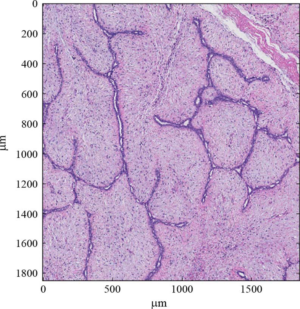 Fig. 3