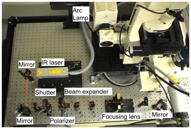 Fig. 1