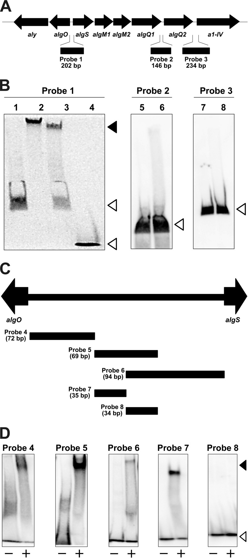 FIG 5