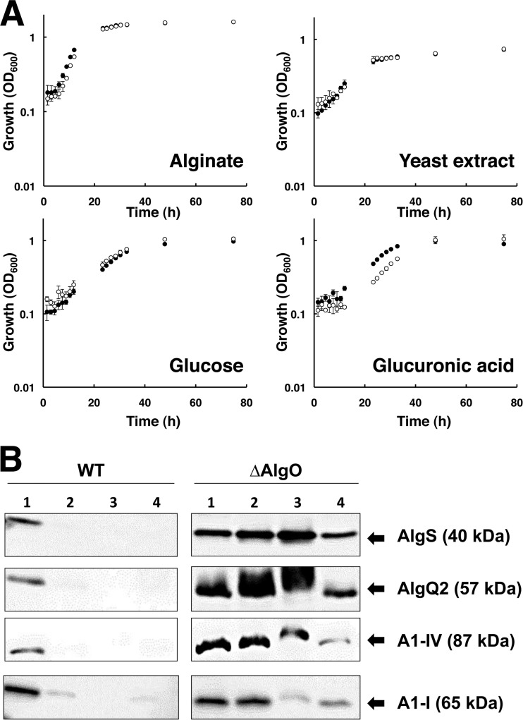 FIG 3