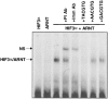 FIG. 6