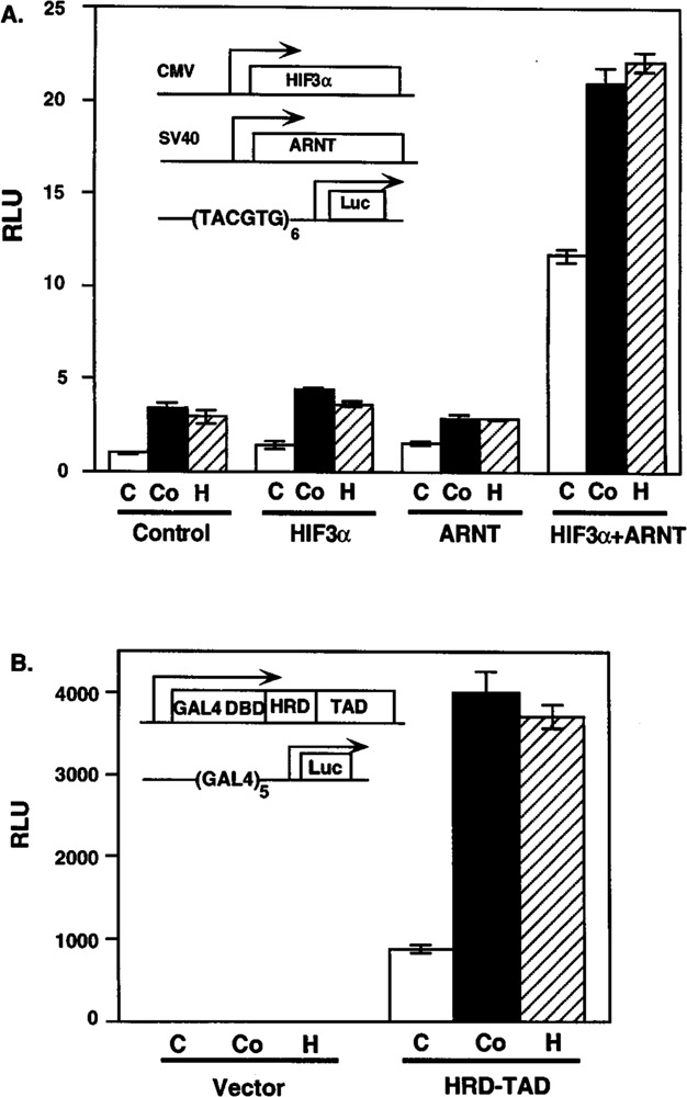 FIG. 7