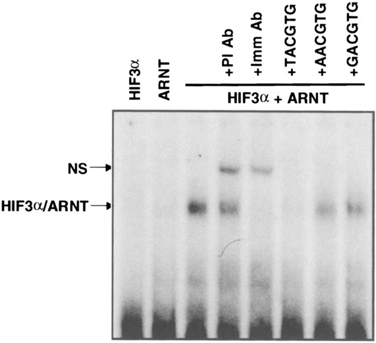 FIG. 6