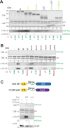 Figure 2: