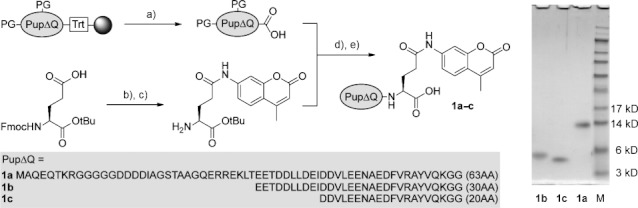 Scheme 2