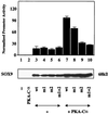 FIG. 7