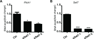 Figure 2—figure supplement 3.