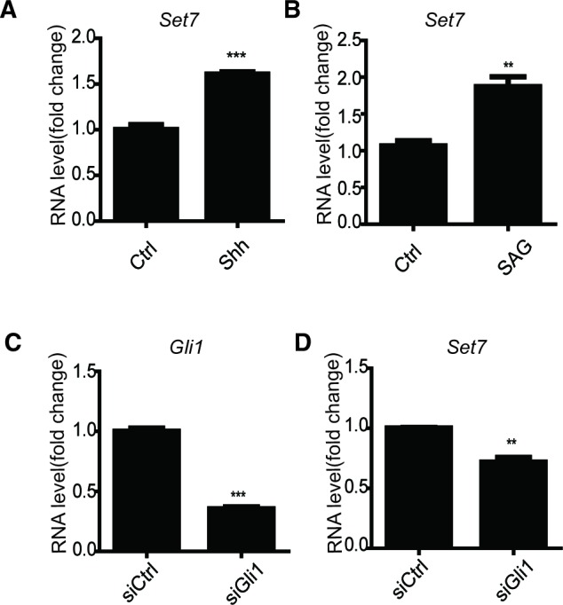 Figure 2—figure supplement 1.