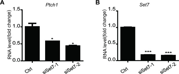 Figure 2—figure supplement 3.