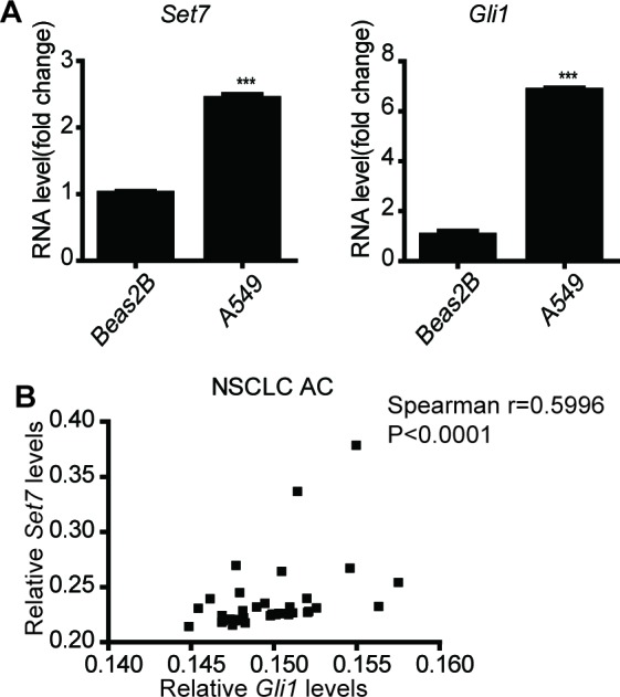 Figure 4—figure supplement 1.