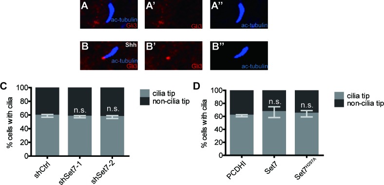 Figure 3—figure supplement 1.