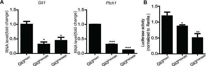 Figure 2—figure supplement 4.