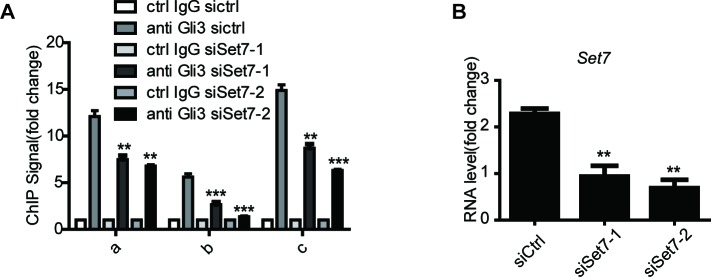 Figure 3—figure supplement 2.