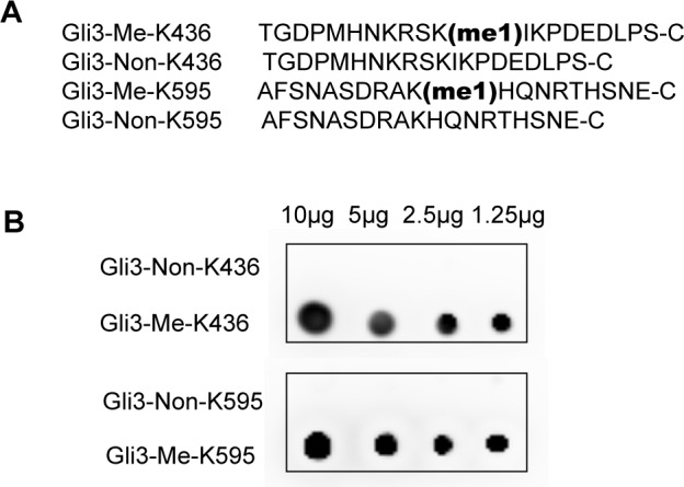 Figure 1—figure supplement 3.