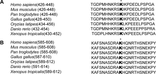 Figure 1—figure supplement 2.