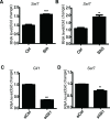 Figure 2—figure supplement 1.