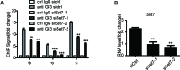 Figure 3—figure supplement 2.