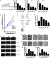 Figure 4—figure supplement 2.