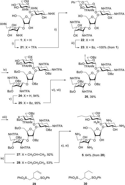 Scheme 2.