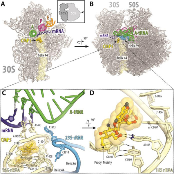 Figure 6.