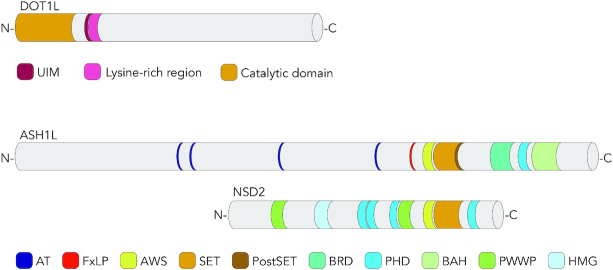 Figure 3.