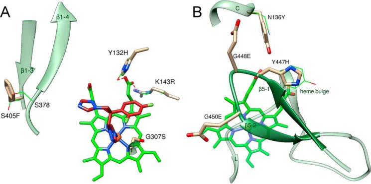 Figure 14.