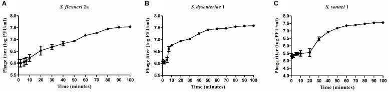 FIGURE 4