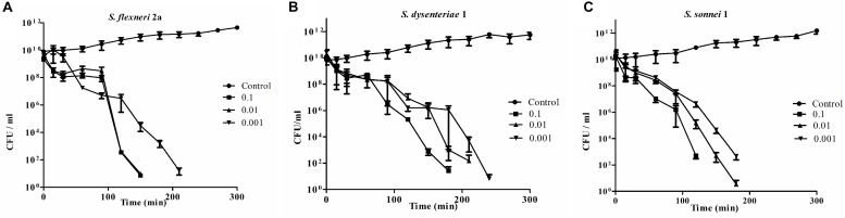 FIGURE 2