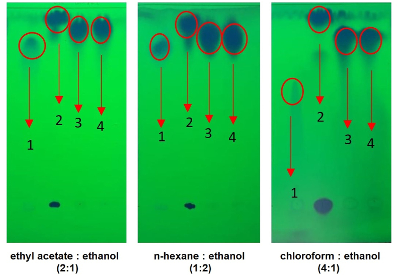 Fig. 4