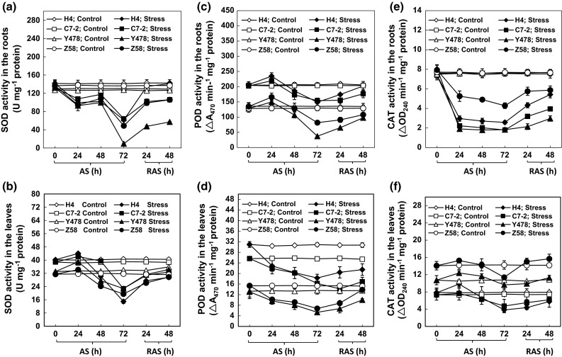 Fig. 2