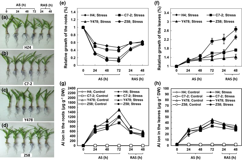 Fig. 1