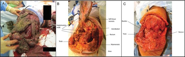 FIGURE 1.