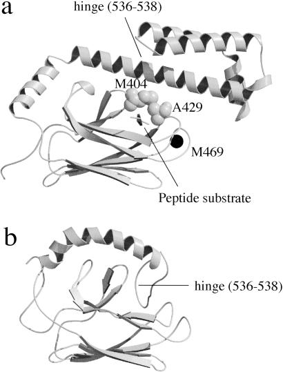 Fig 1.