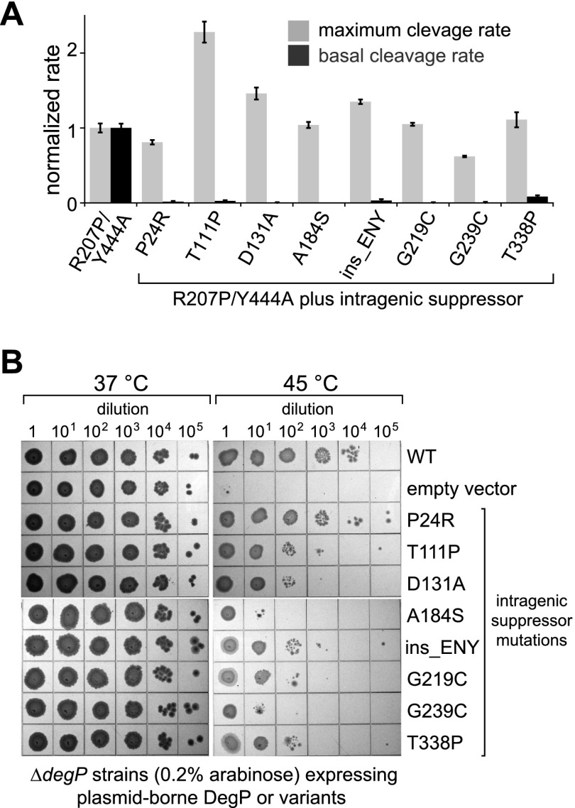 Figure 4.