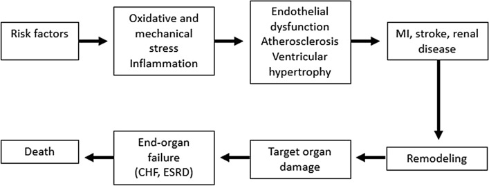 Fig. 1