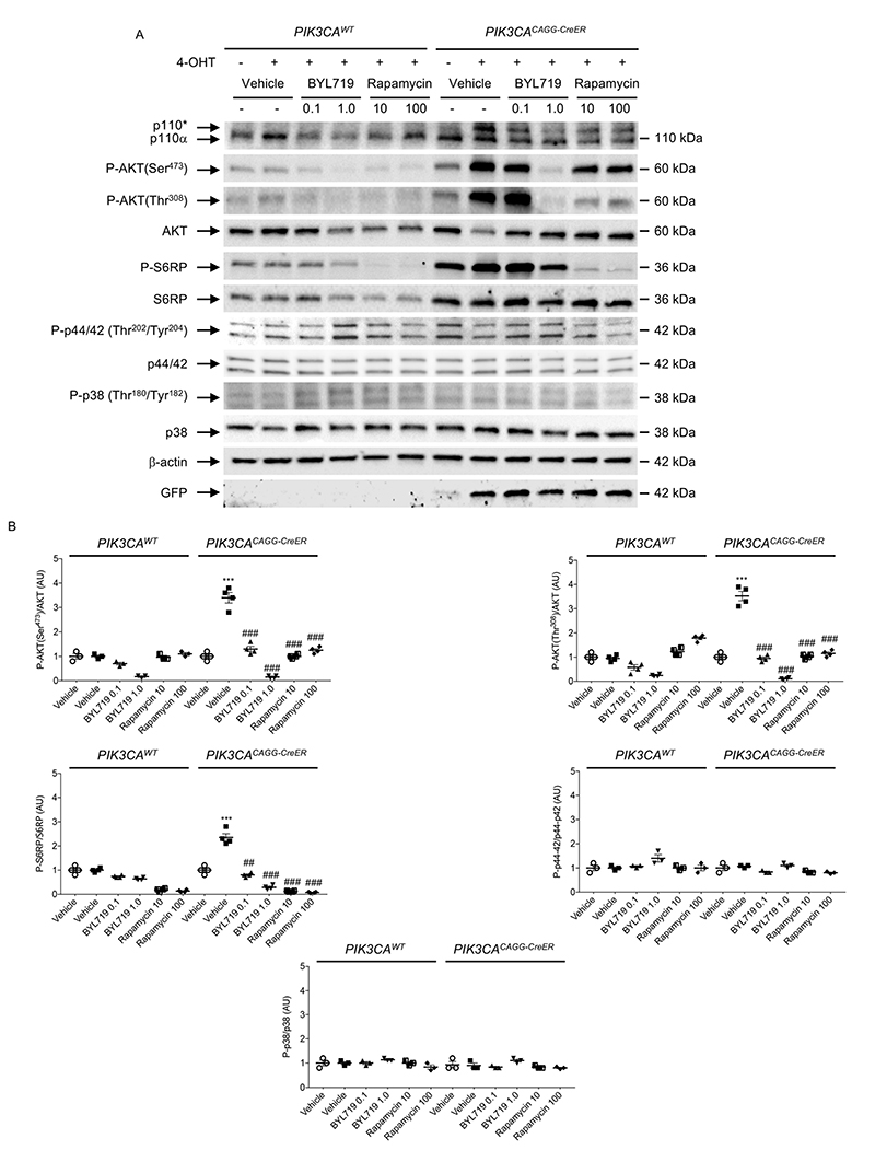 Extended Data Fig. 10