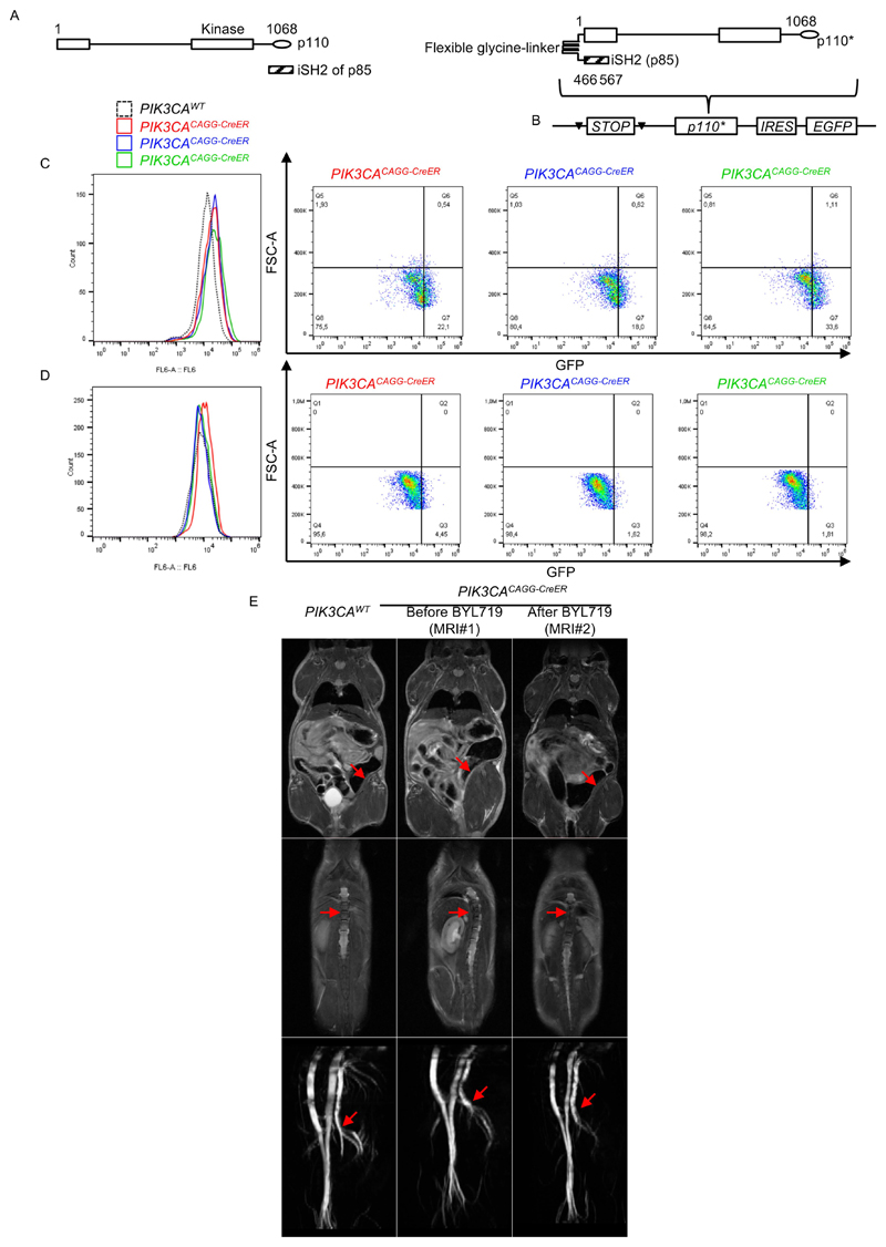 Extended Data Fig. 1